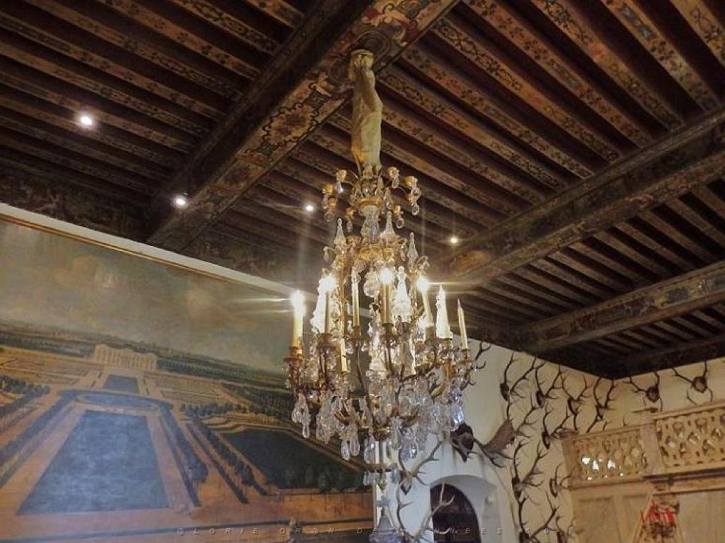 149 CHATEAU DE BRISSAC MAINE ET LOIRE 2016 N1_000016.jpg